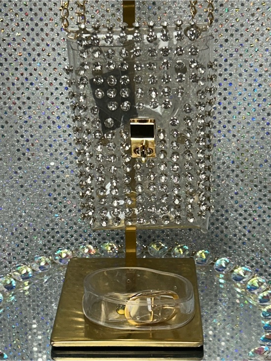Nicole Other - Nicole Clear Crystal-Studded Phone Crossbody Bag & a Clear Belt Approx. 4.5 x 7